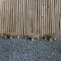 morepic-6